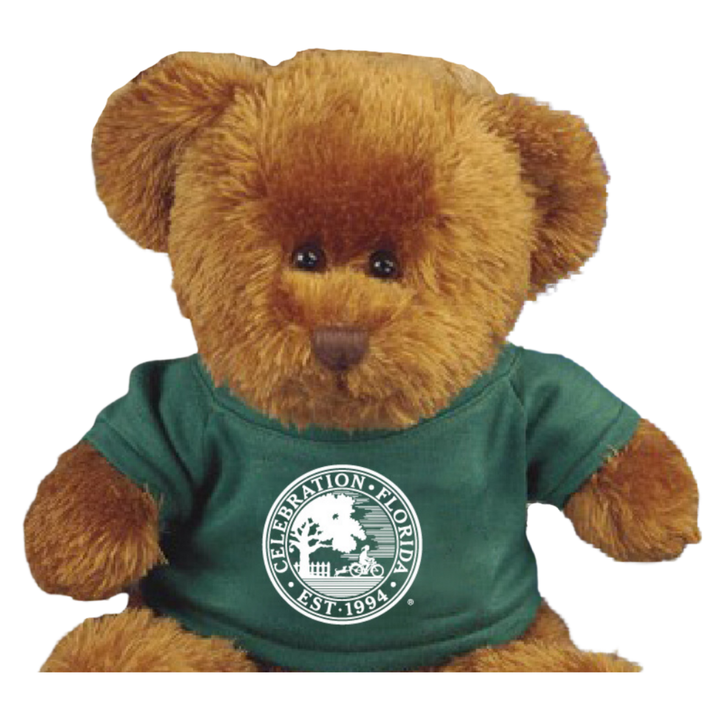 Plush teddy bear wearing a green t-shirt with a white Celebration, Florida circular logo