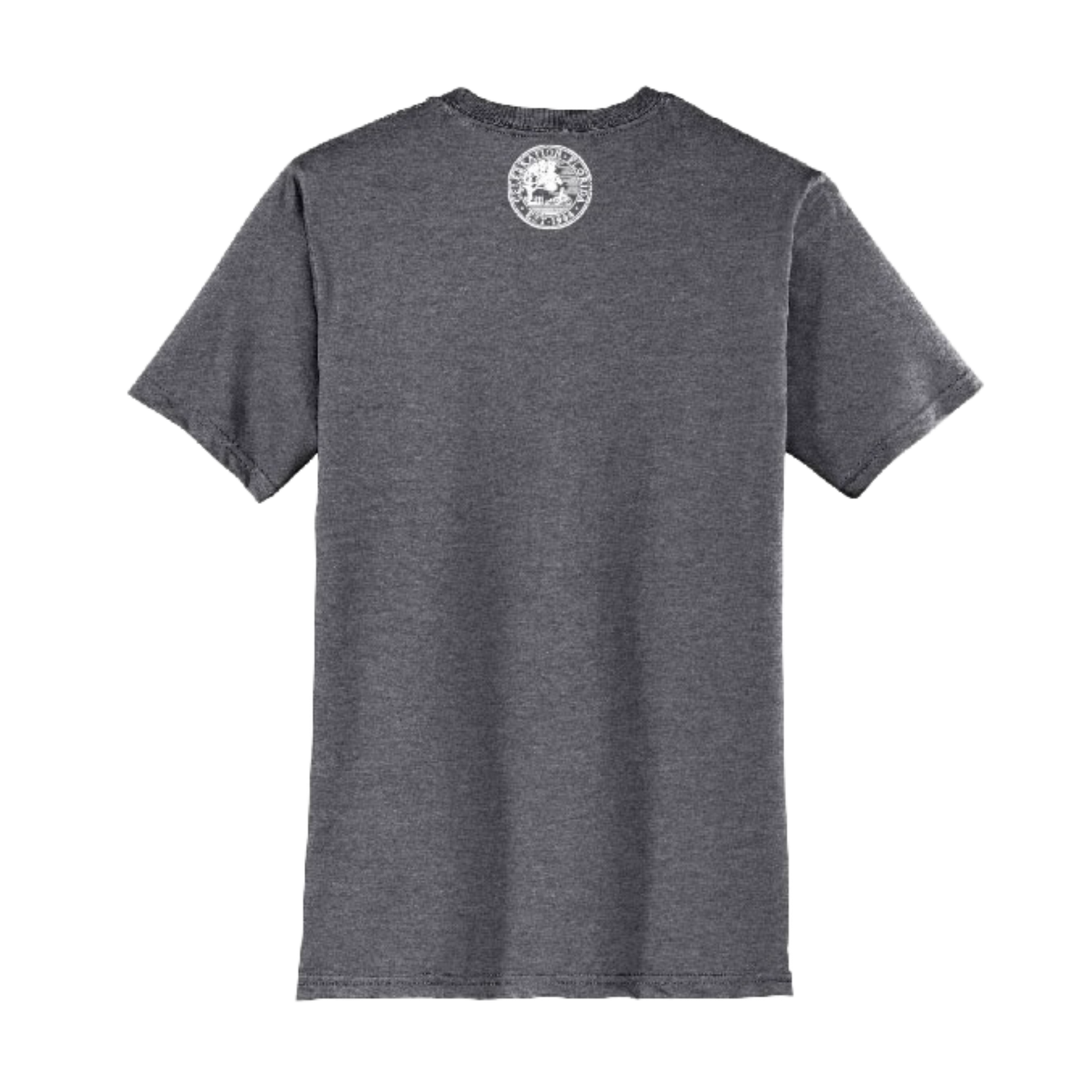 Celebration Lake Evalyn Tee