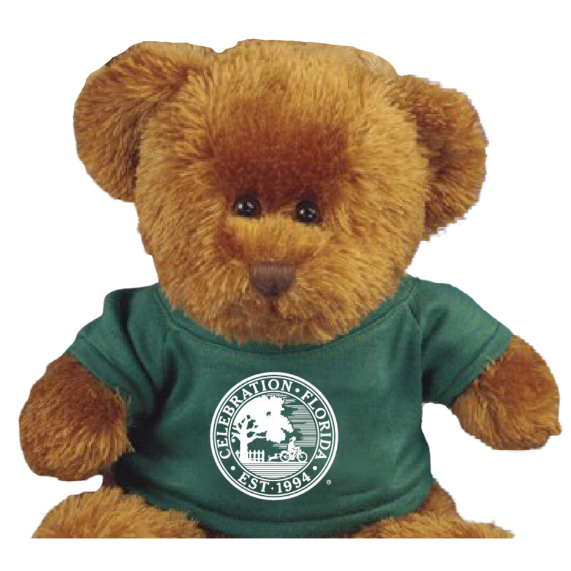 Plush teddy bear wearing a green t-shirt with a white Celebration, Florida circular logo